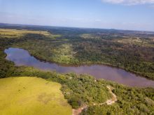 Venda Fazenda Tocantins - TO