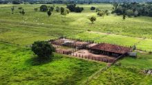 Venda Fazenda Tocantins - TO