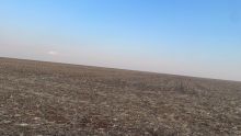 Venda Fazenda MT - MT