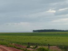 Venda Fazenda Tocantins - TO