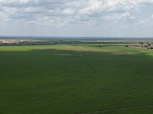 Venda Fazenda Tocantins - TO